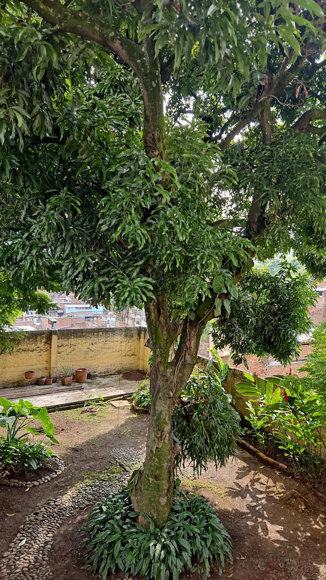 Hotel Casa Alba Cali Zewnętrze zdjęcie